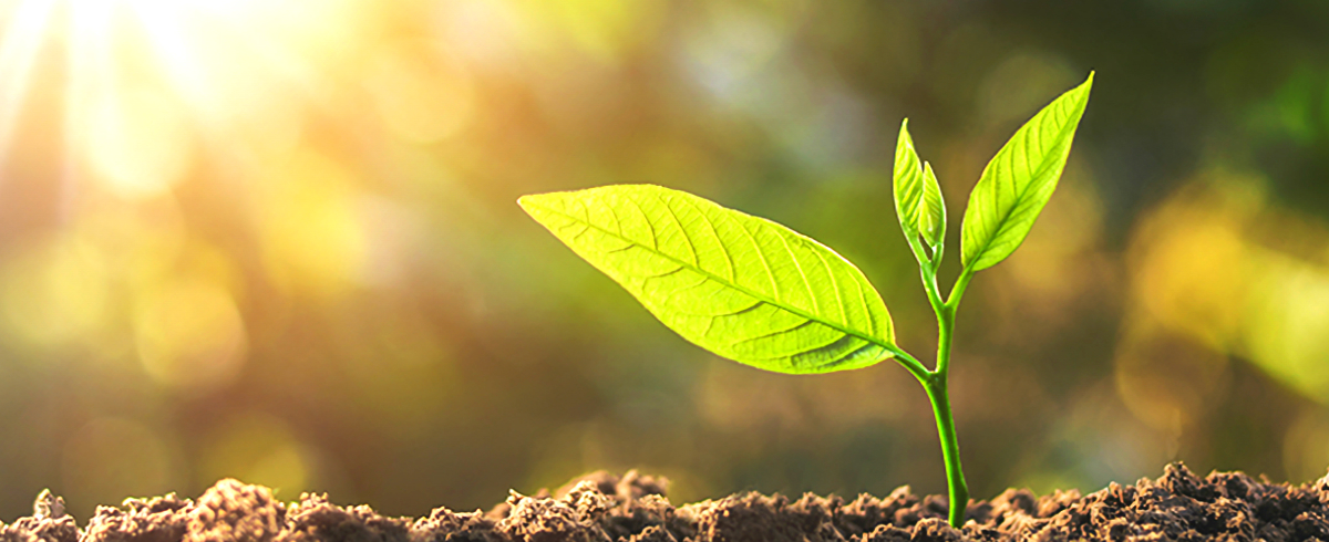 株式会社connect（コネクト）