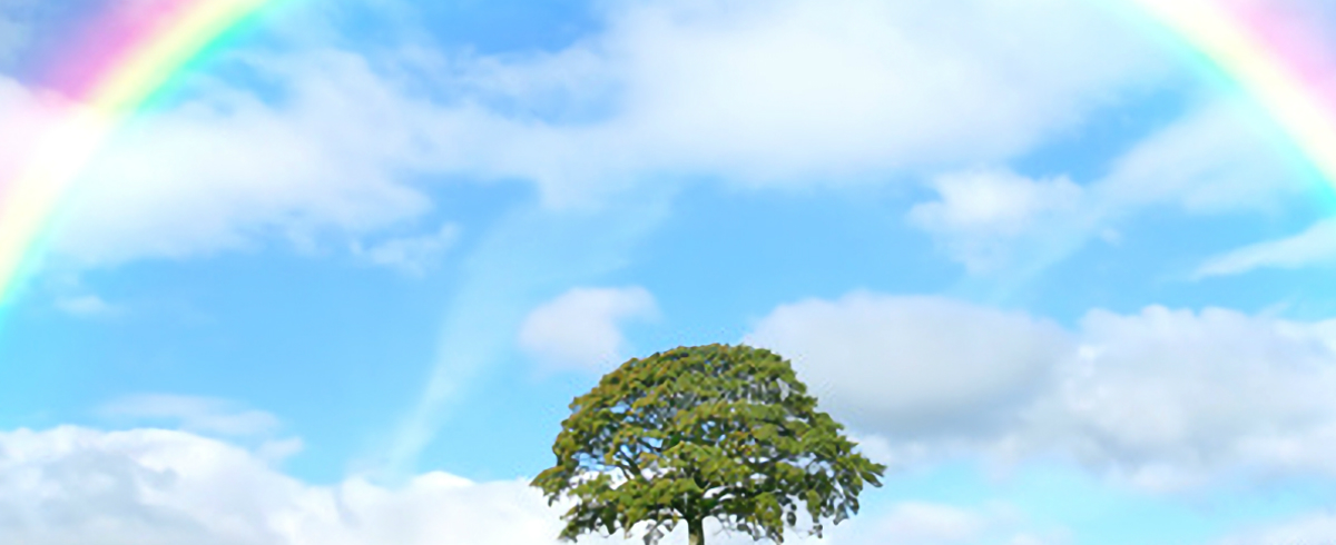 株式会社connect（コネクト）